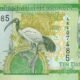 Gambia 10 Dalasis 2015 P-32 UNC Banknote – Obverse