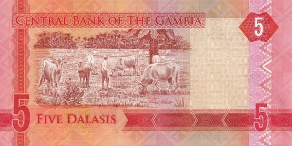 Gambia 5 Dalasis 2015 P-31 UNC Banknote – Reverse