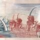 Kenya 50 Shillings 2010 P-47e UNC Banknote – Reverse