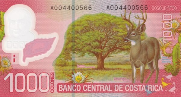 Costa Rica 1000 Colones 2009 P-274a UNC Banknote – Reverse
