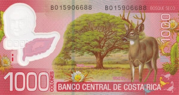 Costa Rica 1000 Colones 2013 P-274b UNC Banknote – Reverse