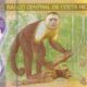 Costa Rica 5000 Colones 2018 P-282 UNC Banknote – Reverse