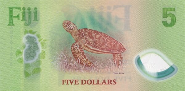 Fiji 5 Dollars 2026 P-125 UNC Banknote – Reverse