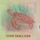 Fiji 5 Dollars 2026 P-125 UNC Banknote – Reverse