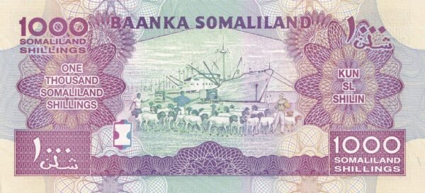 Somaliland 1000 Shillings 2014 P-20c UNC Banknote – Reverse