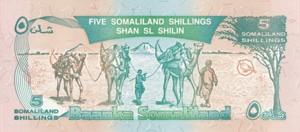 Somaliland 5 Shillings 1994 P-1 UNC Banknote – Reverse