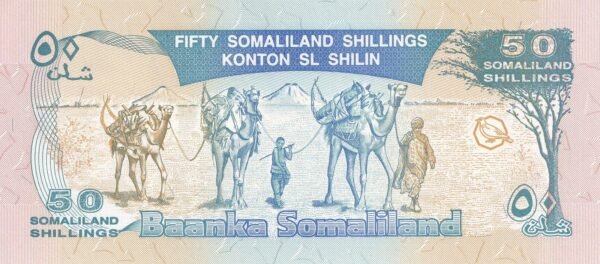 Somaliland 50 Shillings 2002 P-7d UNC Banknote – Reverse