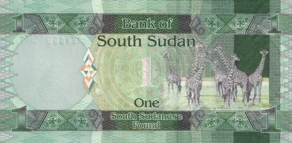 South Sudan 1 Pound 2011 P-5 UNC Banknote – Reverse