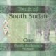 South Sudan 1 Pound 2011 P-5 UNC Banknote – Reverse