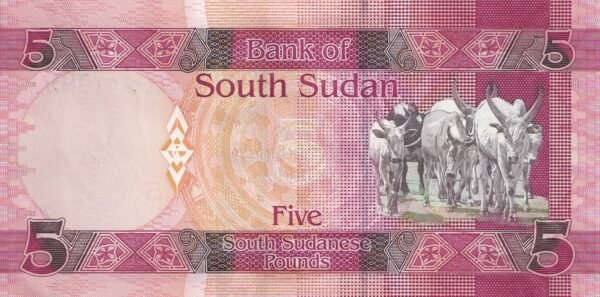 South Sudan 5 Pounds 2015 P-11 UNC Banknote – Reverse