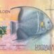 curacao-sint-maarten-10-gulden-2025-p-1-unc-obverse Curacao & Sint Maarten 10 Gulden 2025 P-1 UNC Banknote – Obverse