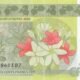 French Pacific Territories 500 Francs 2023 P-5(3) UNC Banknote – Reverse